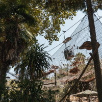 Korblift Jardim Zoológico in Lissabon, August 2025