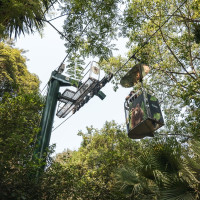 Korblift Jardim Zoológico in Lissabon, August 2025
