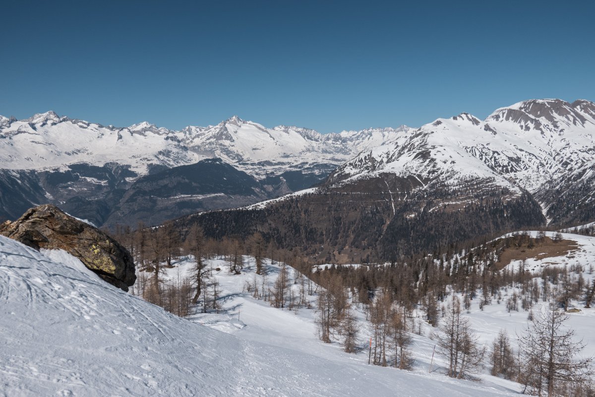 Panorama von der Wasenalp auf das Oberwallis