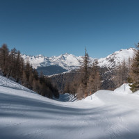 Abfahrt am Schlepplift Bodmen-Kastelegg im Skigebiet Rothwald, März 2022