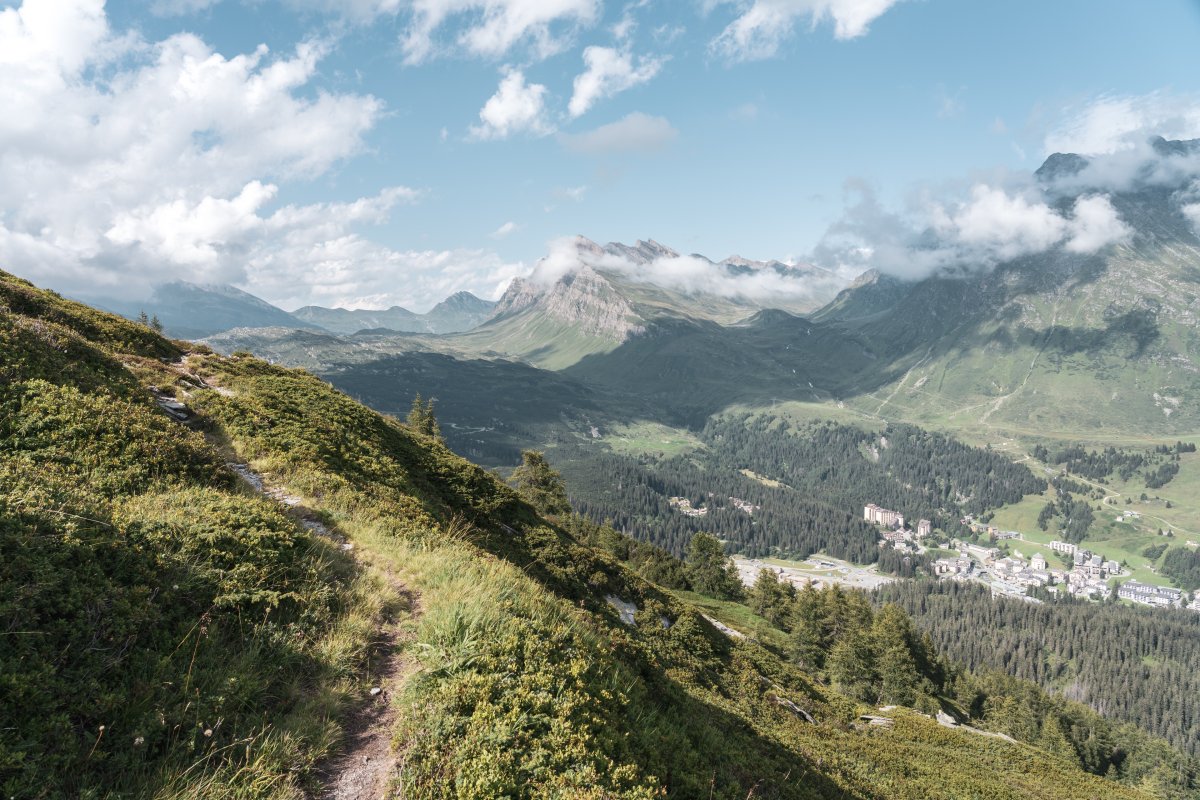 Alp de Confin, August 2021