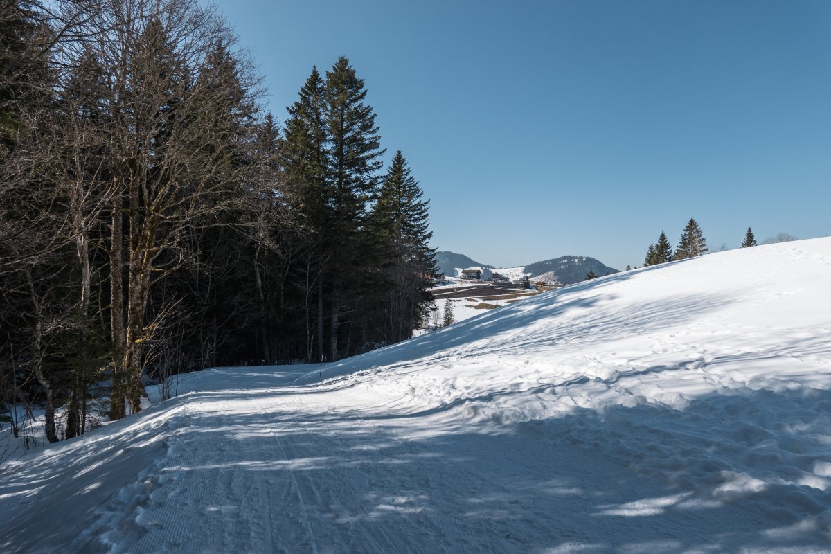 Mostelberg, März 2022