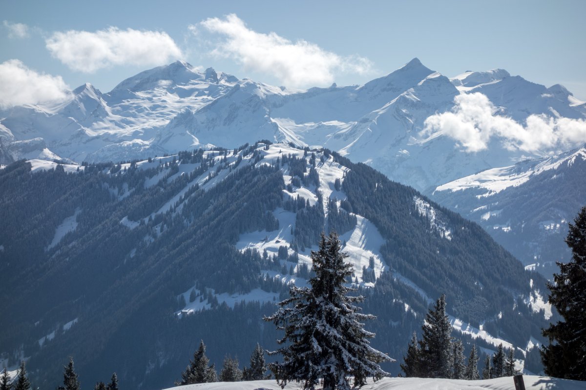 Blick vom Hornberg zur Wispile, Februar 2018