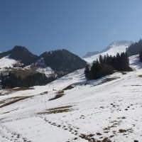 Übungsgelände Gypsera, März 2011