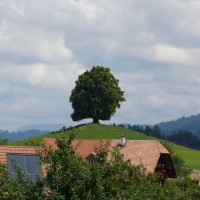 Schlepplift Dreiligass-Winteregg (Küpfer) in Homberg, Juli 2008