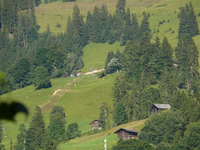 Schlepplift Halten-Springenboden (Von Rotz) in Diemtigen, Juli 2008