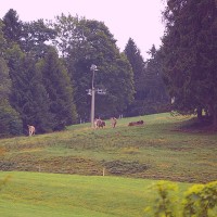 Schlepplift Trogen-Breitenebnet (Bühler) in Trogen, Juli 2008