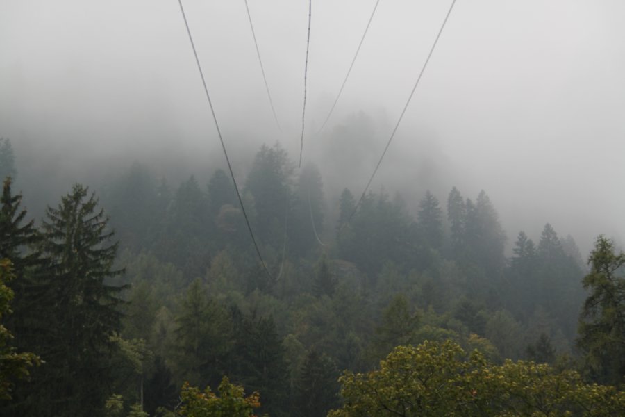 Strecke der Luftseilbahn Faido-Piana Selva, Oktober 2010