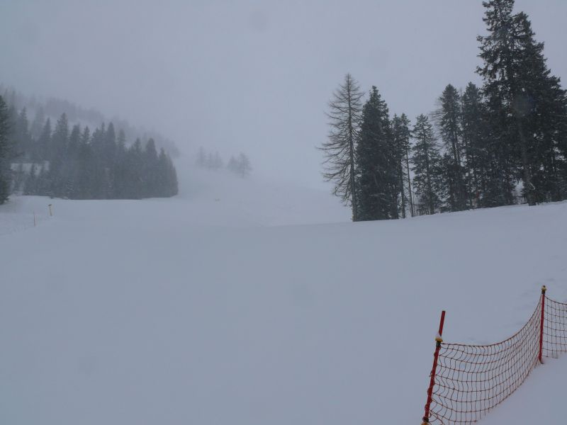 Trasse des ehemaligen Schlepplifts Le Barfay, März 2008