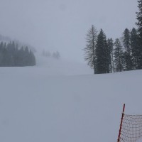 Trasse des ehemaligen Schlepplifts Le Barfay, März 2008