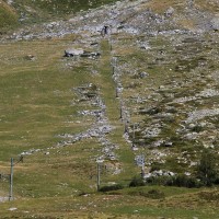 st-bernard063.jpg