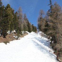 Ehemalige Schneise des Schlepplifts Illhorn 1, Februar 2012