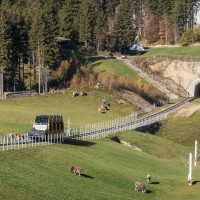 Standseilbahn Schwyz-Stoos, Oktober 2022