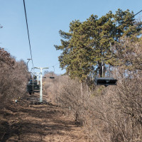 Sesselbahn Zugliget-János hegy, März 2025