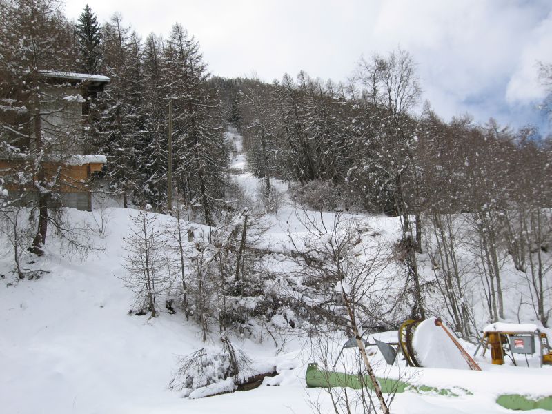 In dieser Schneise verlief einmal der Schlepplift Lotrey 1, März 2008