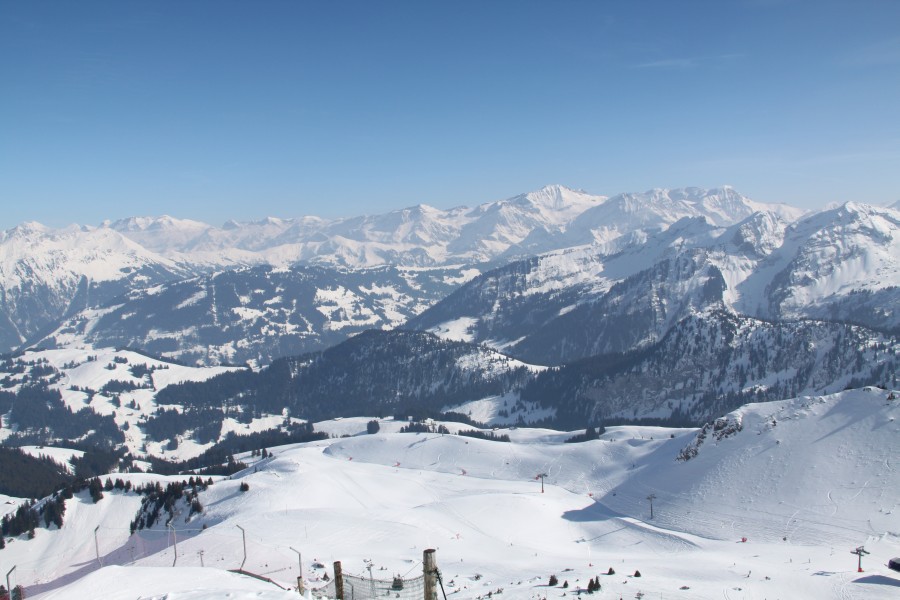 Panorama von der Videmanette, März 2010