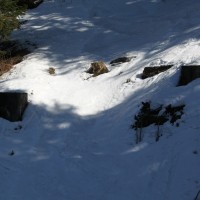 Fundamente des Müller-Schlepplifts, Vorgänger im unteren Teil der Sesselbahn Sodoleuvre-La Croix des Chaux, März 2011