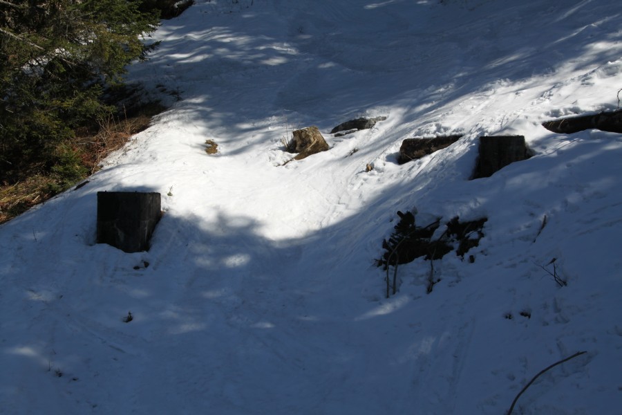 Fundamente des Müller-Schlepplifts, Vorgänger im unteren Teil der Sesselbahn Sodoleuvre-La Croix des Chaux, März 2011