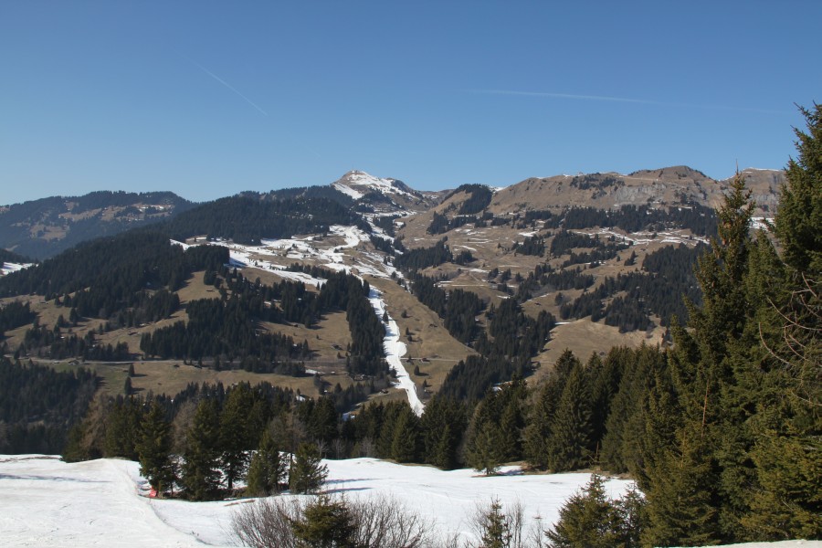 Blick nach La Rasse und auf die Hänge am Col de Bretaye, mittig die Verbindungspiste nach La Rasse. Ohne Kunstschnee ginge hier gar nichts! März 2011