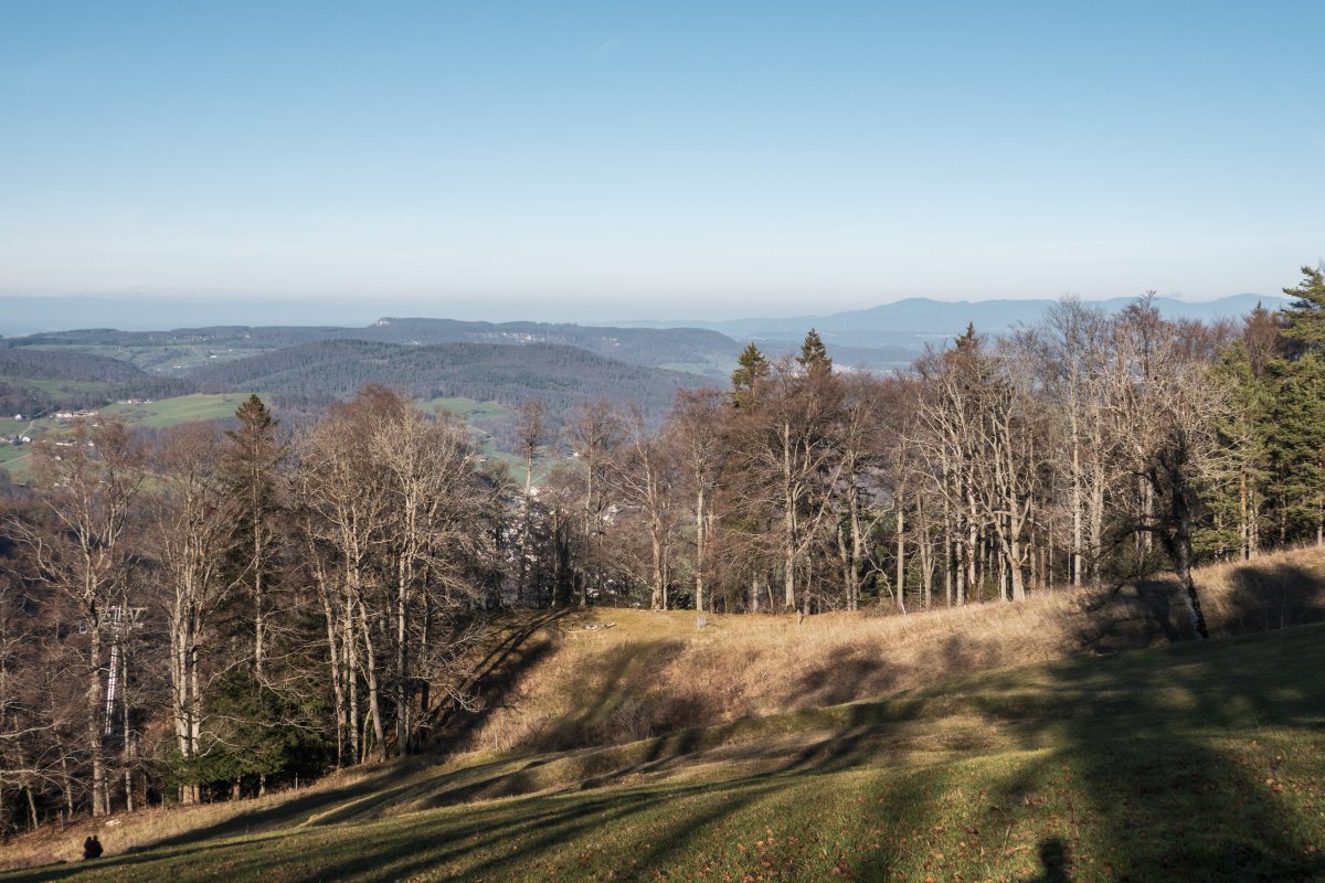 Panorama von der Wasserfallen, Januar 2023