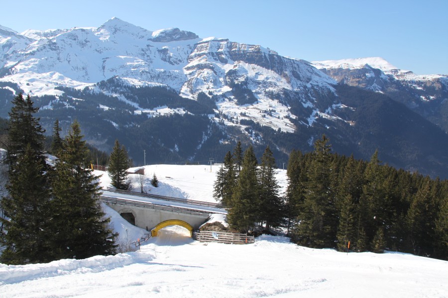 Wasserstation mit der Kreuzung der Wengernalpbahn, März 2011