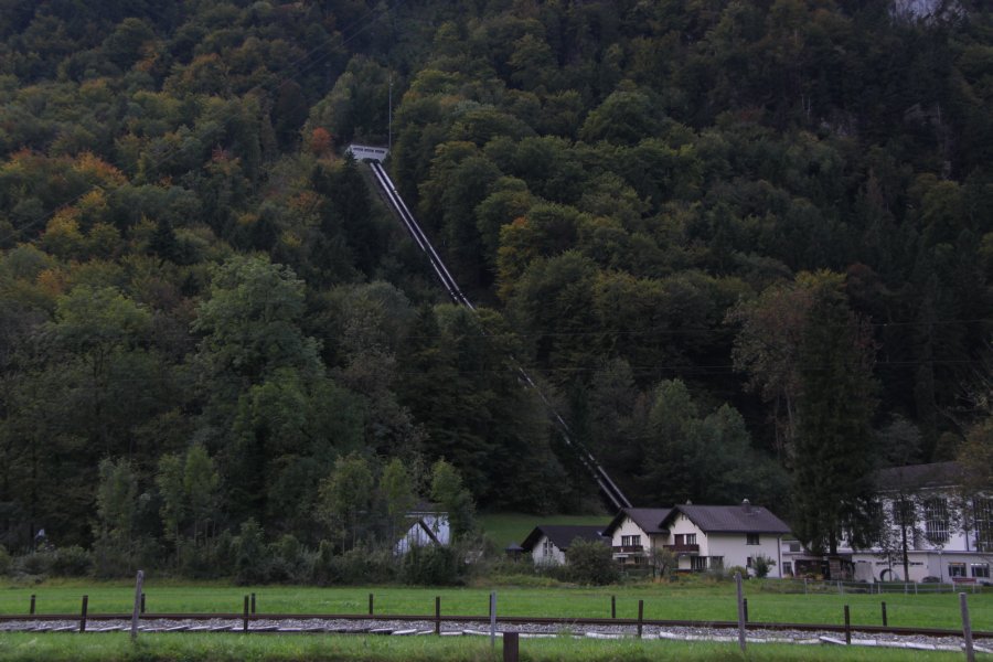 Fotogalerie FotoAnsicht •