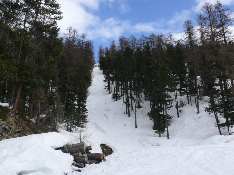 Schneise des ehemaligen Schlepplifts National (Patrullarve-Blauherd), April 2009