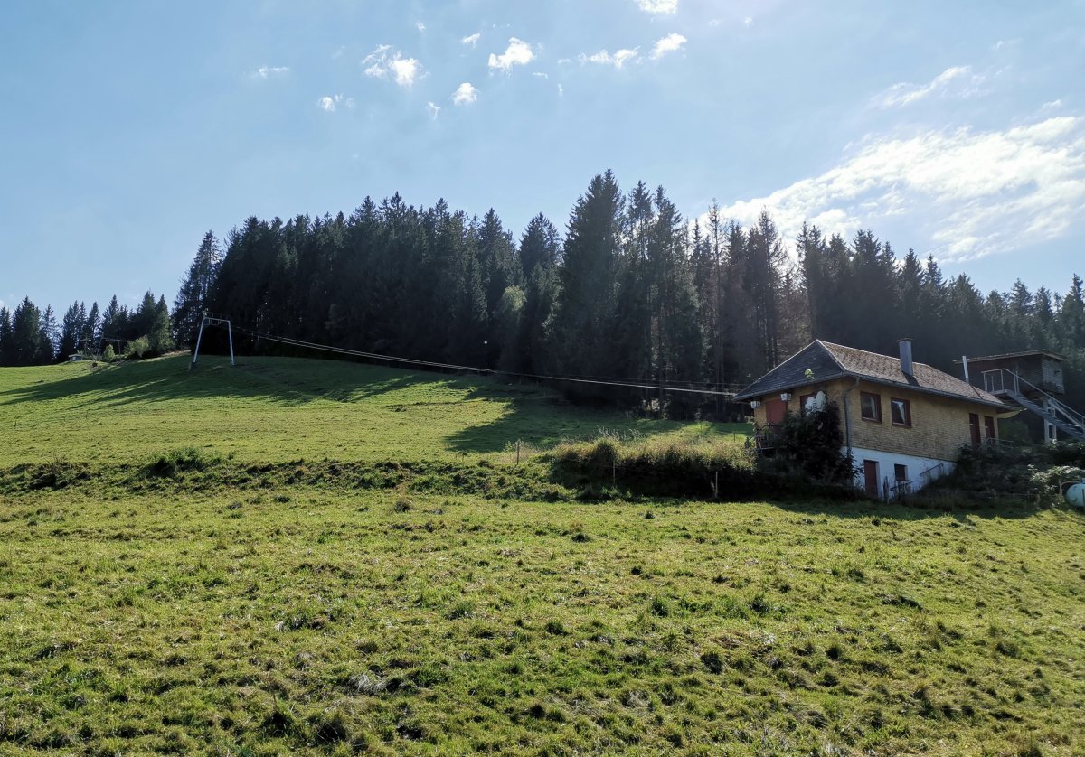 1er Schlepplift Staatsberg